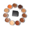 11 colors concealer